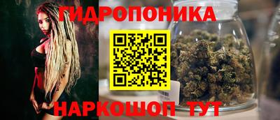 индика Аргун