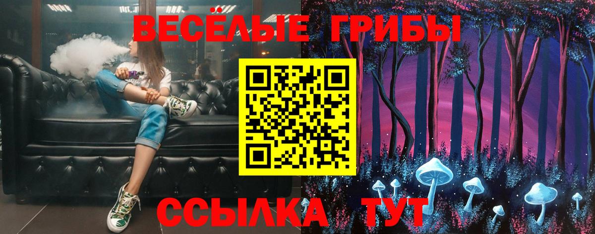 Большой Камень  Галлюциногенные грибы MAGIC MUSHROOMS  Вход с VPN 