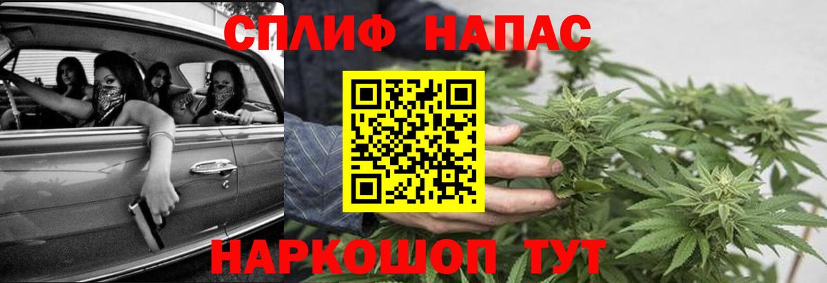 Конопля конопля Большой Камень